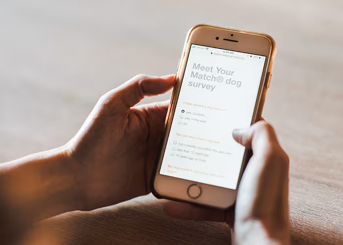 Person filling out online dog matching survey on smartphone