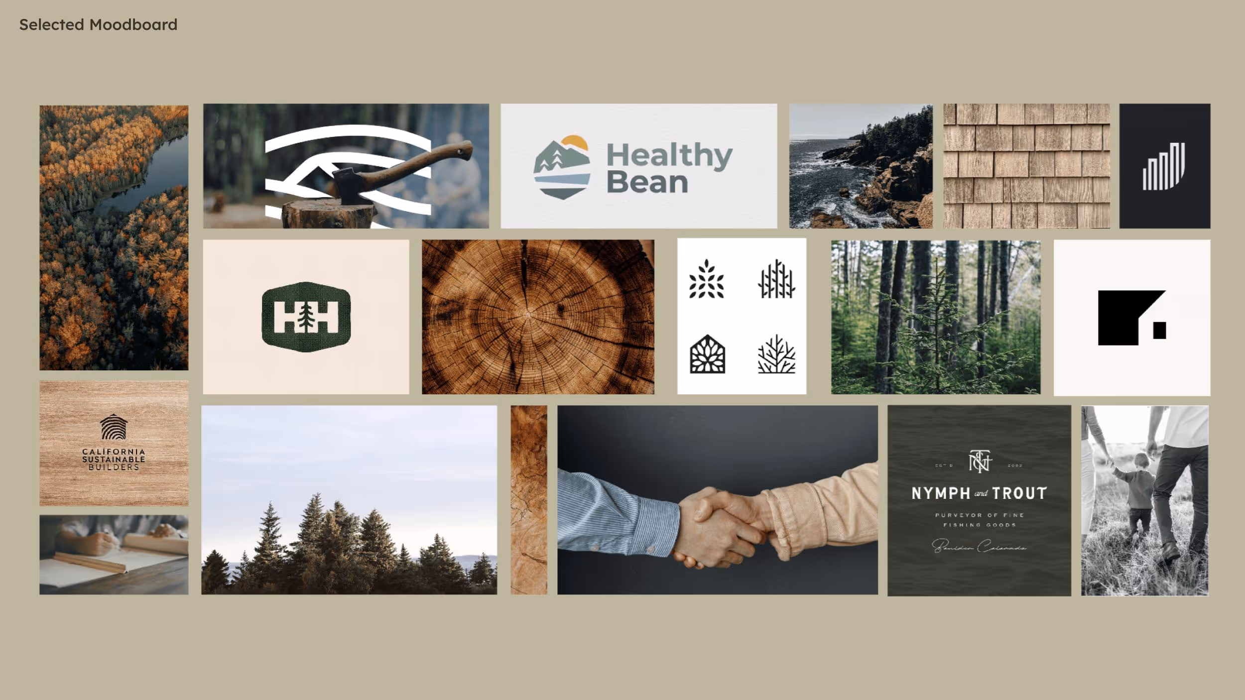 Nature-inspired branding moodboard with forest, wood, and sustainable design elements