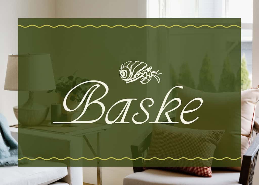 Baske home goods store brand with hermit crab illustration