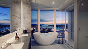 Owner's Bath