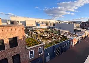 1234 9th Street
