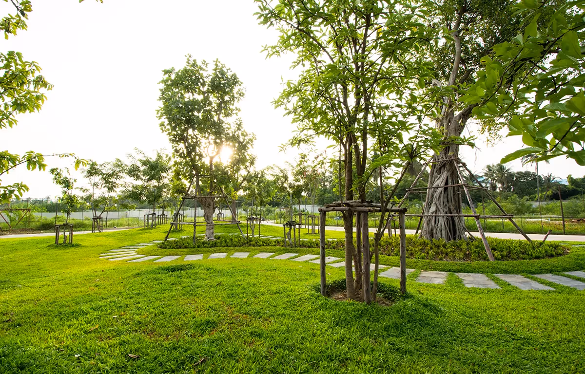 GREENERY PARK พื้นที่สีเขียวขนาดใหญ่ สวนสาธารณะแสนร่มรื่น พร้อมเครื่องเล่นสำหรับเด็ก บ้านเดี่ยว ซีรีน พระราม 2 - ท่าข้าม
