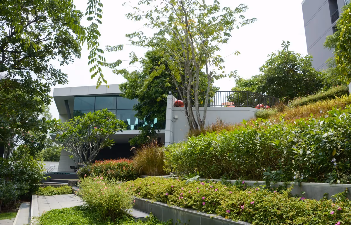 GREENERY PARK พื้นที่สีเขียวขนาดใหญ่ สวนสาธารณะแสนร่มรื่น คอนโด ศาลายา