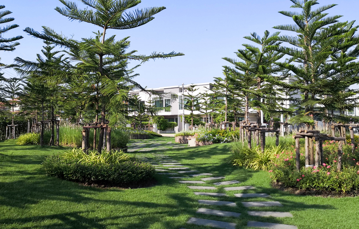 สวนสาธารณะแสนร่มรื่น และพื้นที่สีเขียว