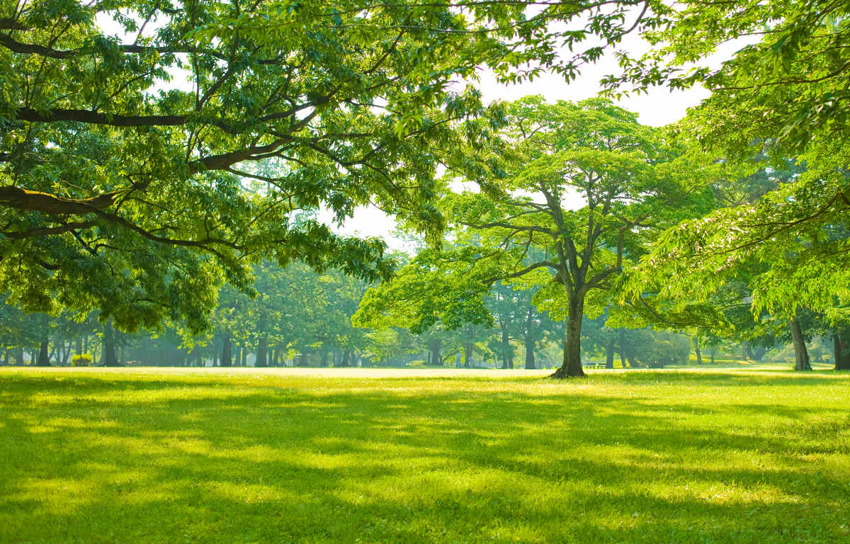 O₂ PARK สวนธรรมชาติ สำหรับการพักผ่อน