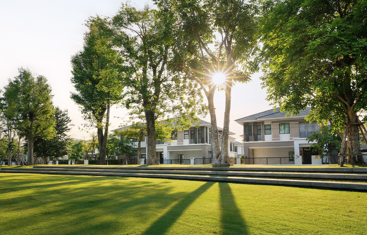 GREENERY PARK Tree Of Life ต้นไม้แห่งชีวิต สวนที่ปกคลุมไปด้วยต้นไม้ใหญ่นานาพรรณ เสมือนอยู่ในป่าใหญ่ โครงการบ้านเดี่ยว ปริญญ์ สาทร - ราชพฤกษ์