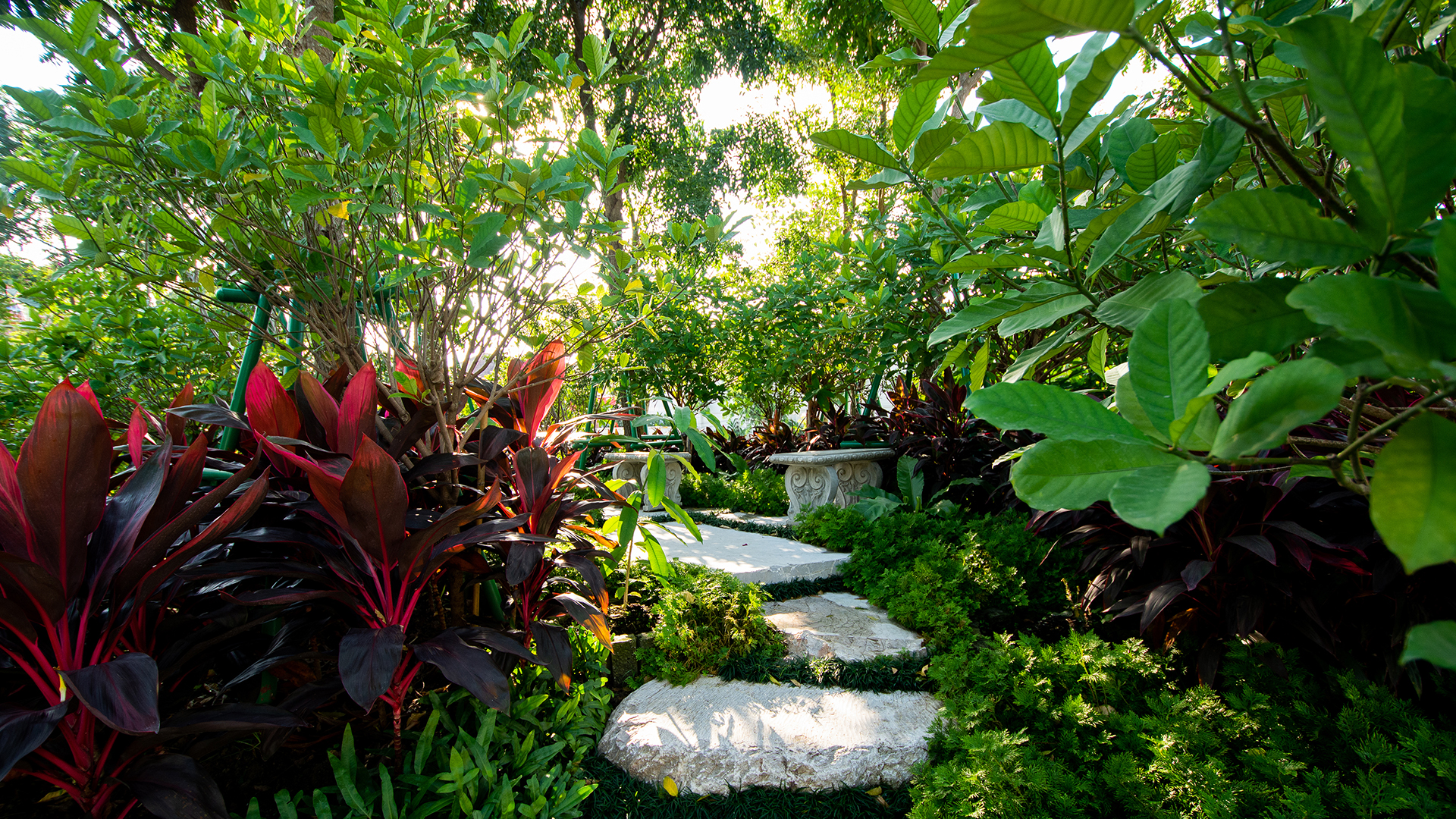 ทางเดินในสวนอันร่มรื่น ในโครงการทาวน์โฮม ซิตี้เซนส์ ดอนเมือง - สรงประภา