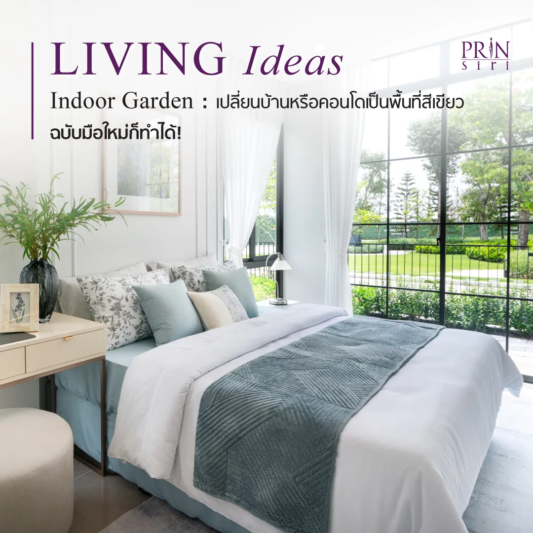 สัมผัสความผ่อนคลายในแบบ Indoor Garden ไอเดียจัดสวนในบ้านและคอนโดที่จะเปลี่ยนมุมเดิมๆ ให้สดชื่นกว่าที่เคย พร้อมเทคนิคดูแลต้นไม้ฉบับมือใหม่ที่ใครก็ทำตามได้