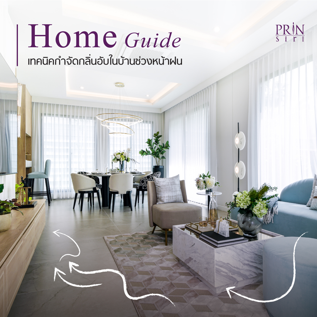 รวมวิธีกำจัดกลิ่นอับในบ้านช่วงหน้าฝนแบบได้ผลจริง! ตั้งแต่การระบายอากาศธรรมชาติ ไปจนถึงการใช้ไอเทมใกล้ตัวอย่างถ่านไม้และเบกกิ้งโซดา พร้อมเคล็ดลับดูแลบ้านไม่ให้มีเชื้อรา