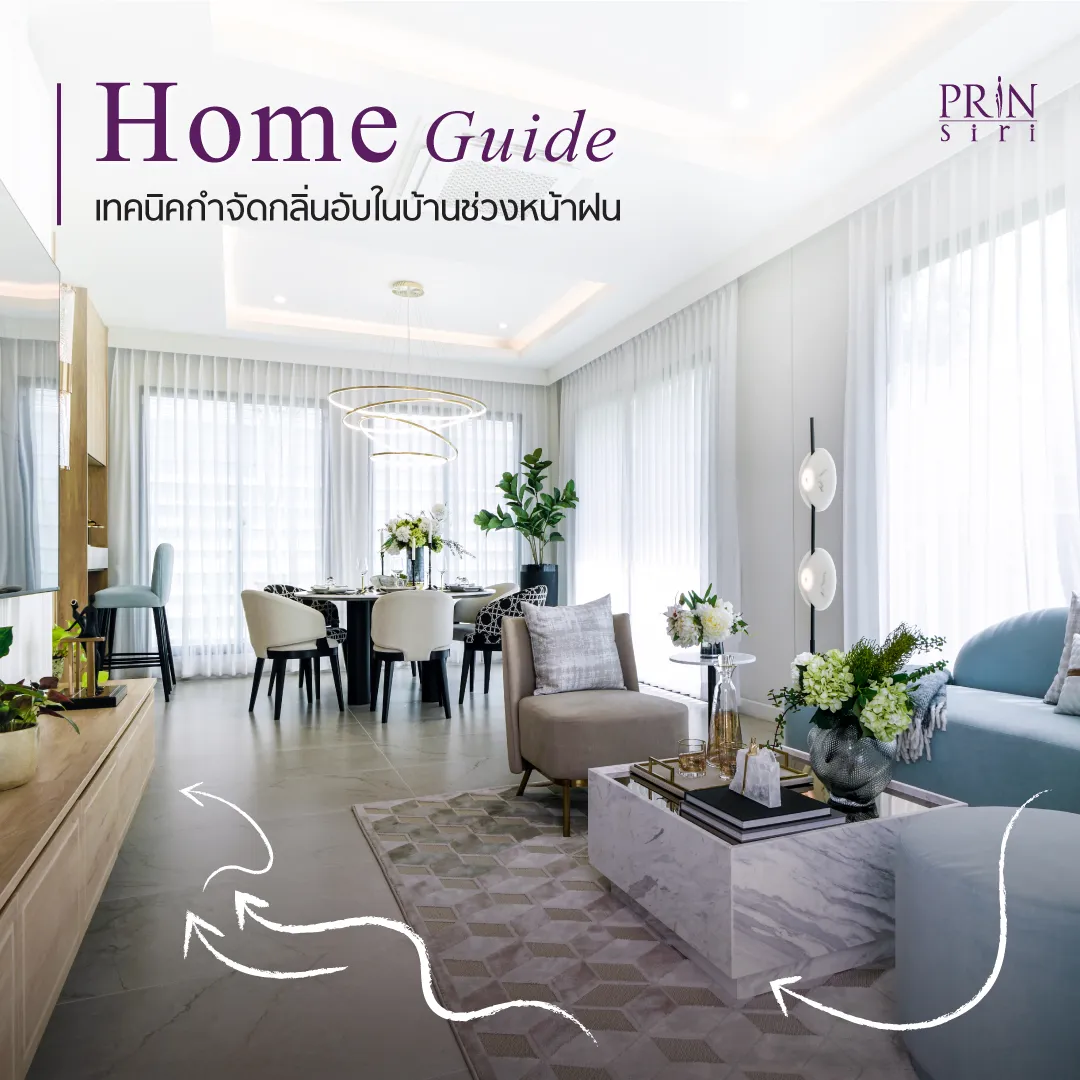 รวมวิธีกำจัดกลิ่นอับในบ้านช่วงหน้าฝนแบบได้ผลจริง! ตั้งแต่การระบายอากาศธรรมชาติ ไปจนถึงการใช้ไอเทมใกล้ตัวอย่างถ่านไม้และเบกกิ้งโซดา พร้อมเคล็ดลับดูแลบ้านไม่ให้มีเชื้อรา