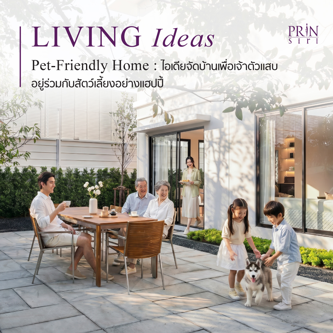 ไอเดียแต่งบ้าน Pet-Friendly Home เลือกเฟอร์นิเจอร์ไม่ติดขน จัดคอนโดแมวแนวตั้งสไตล์มินิมอล ให้อยู่ร่วมกับสัตว์เลี้ยงอย่างปลอดภัยและแฮปปี้
