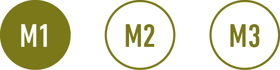 M1M2M3