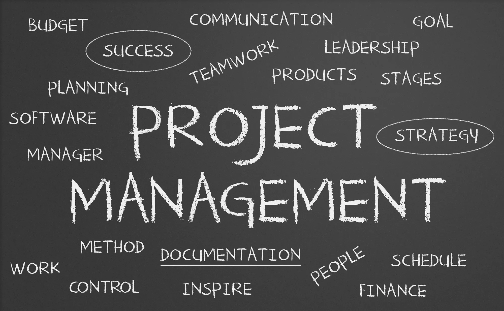 Using project management software to streamline business operationss