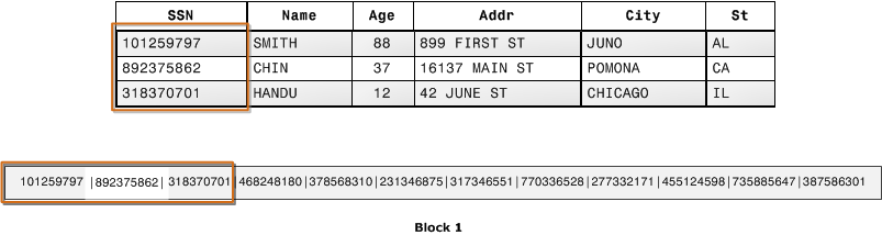 Same table as above, but the column with SSNs is highlighted. One block below with the matching SSNs highlighted.