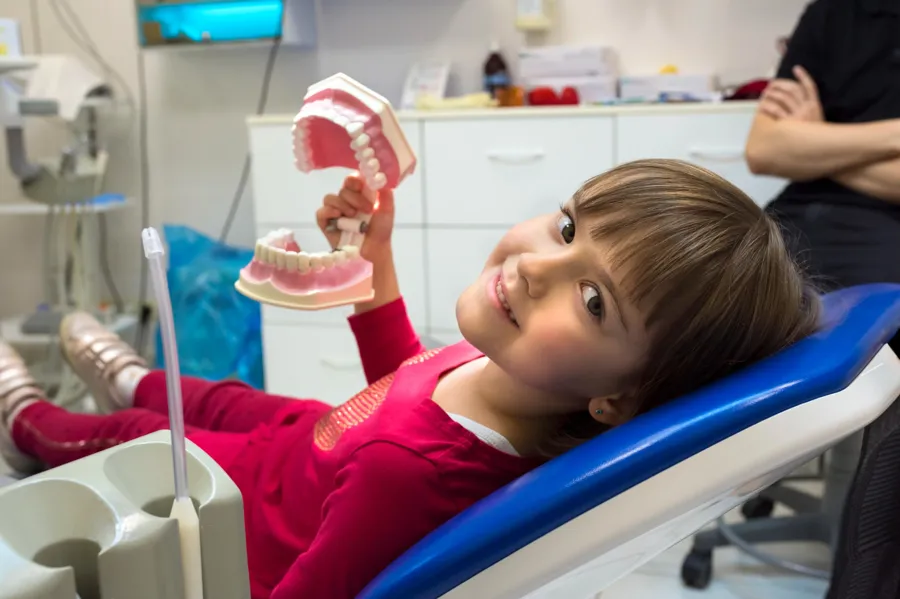 What Pediatric Dentistry Services Does a Family Dentist in Morton, IL, Offer?