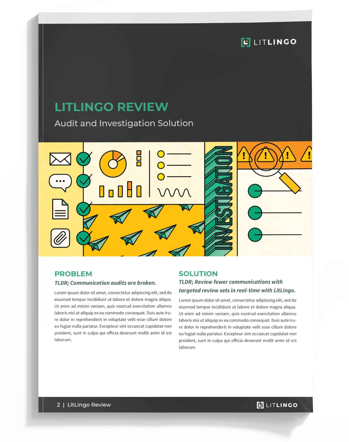 Cover image for LitLingo Review (Audit and Investigation Solution) download PDF