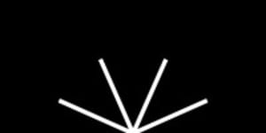 Shine Capital