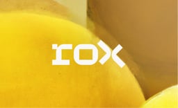 Rox AI