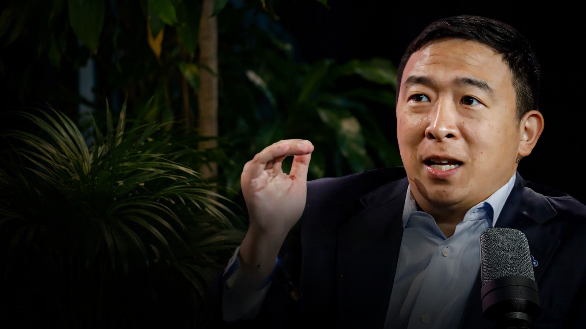 Is AI about to Tear Society Apart? We Asked Andrew Yang
