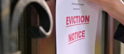 Why landlords are acting now before Section 21 ends
