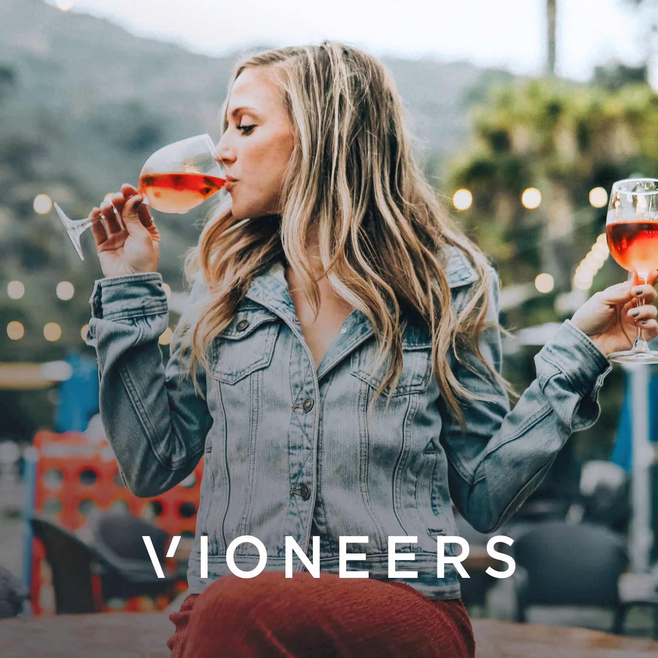 Individueller Shopify Store für Vioneers, die Pioniere im Wein-Onlinehandel