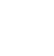 20 Group logo in white.