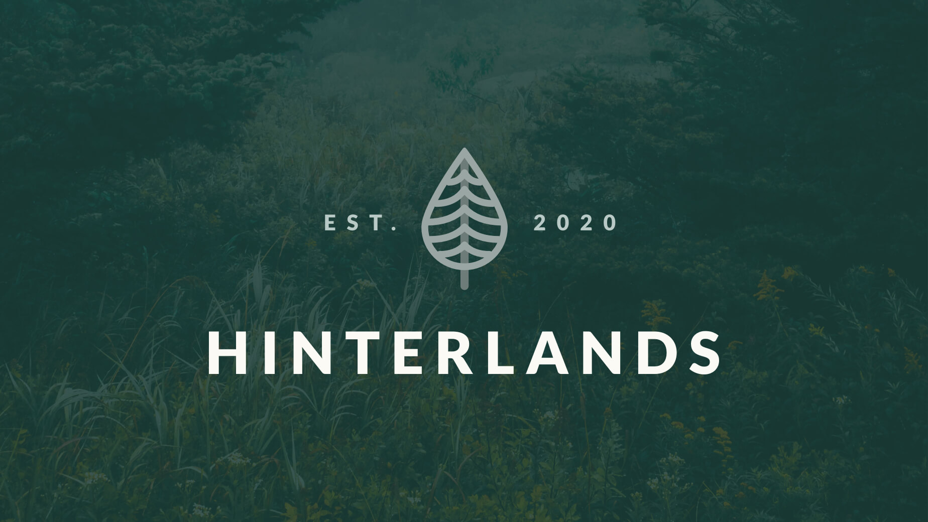 The benefits of beard oil and balm - Hinterlands