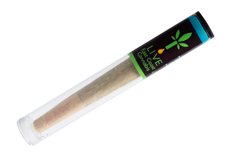 Distillate X CROSS - Northern Lights x Runtz