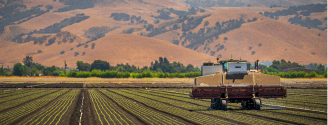 Agriculture