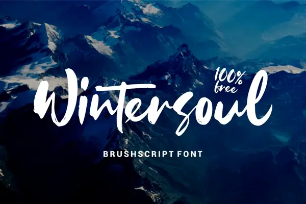 Wintersoul expressive brush script font with textured ink style