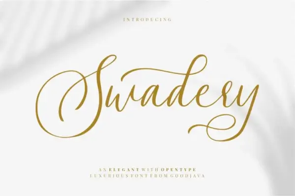 Swadery decorative script font with elegant flourishes