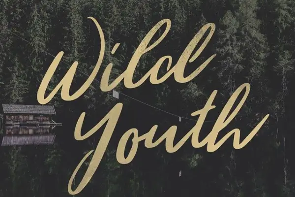 Wild Youth brush script font with textured adventurous strokes
