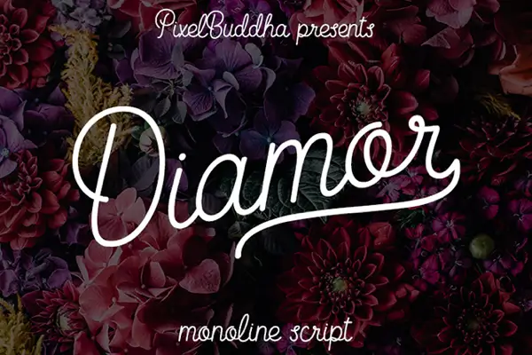 Diamor Script monoline handwritten font with clean lines