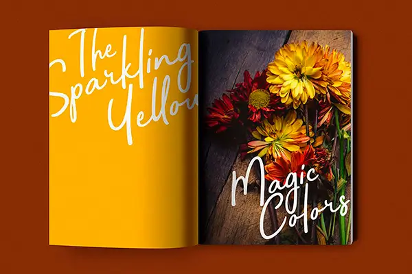 Bahagia Signature elegant handwritten font with strong presence