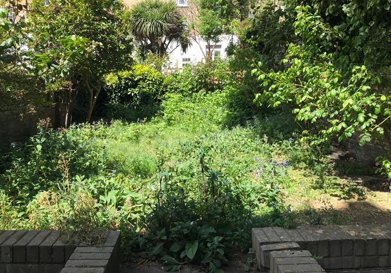Garden restorations and clearances