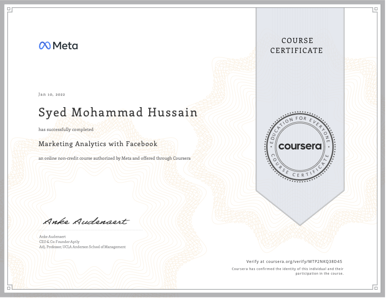 Marketing analyst professional