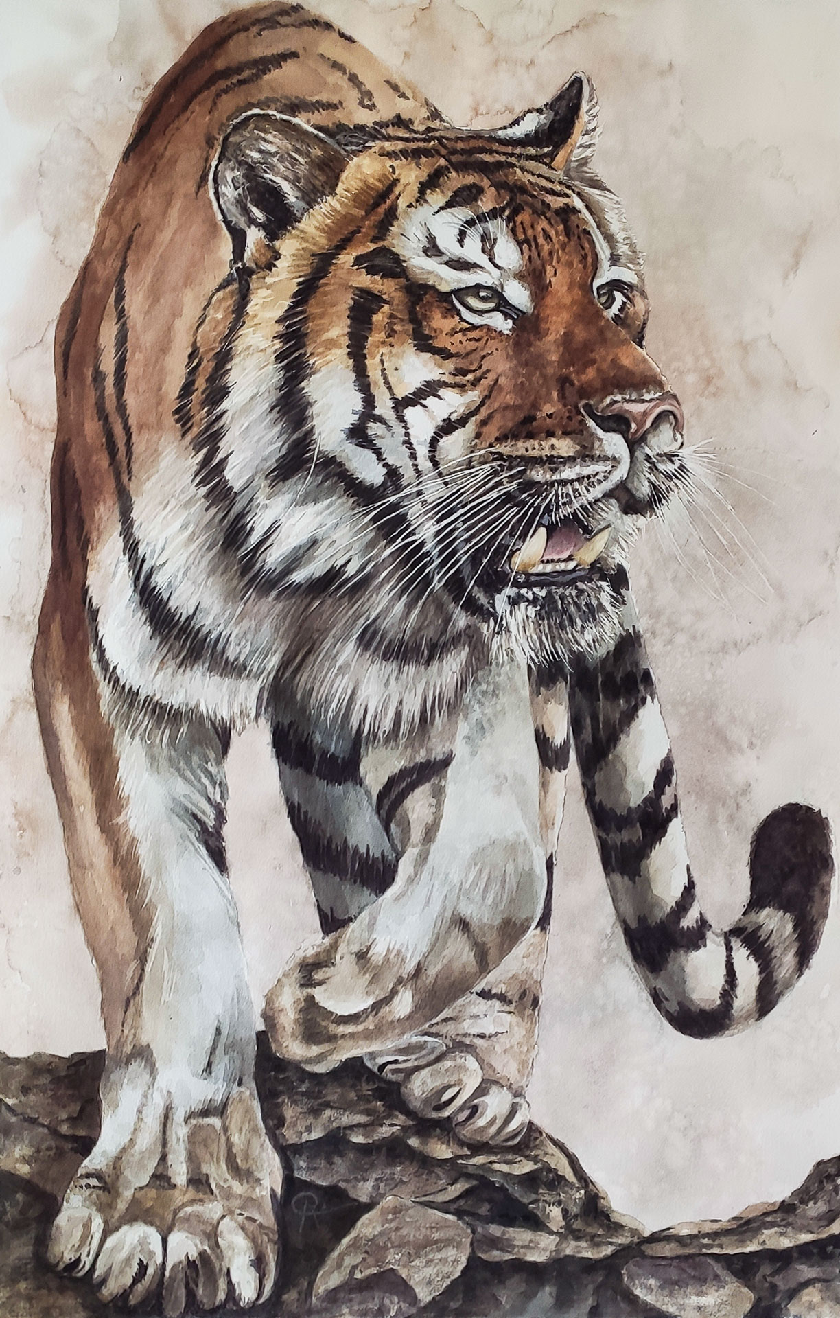 Tiger - 102x64 cm
