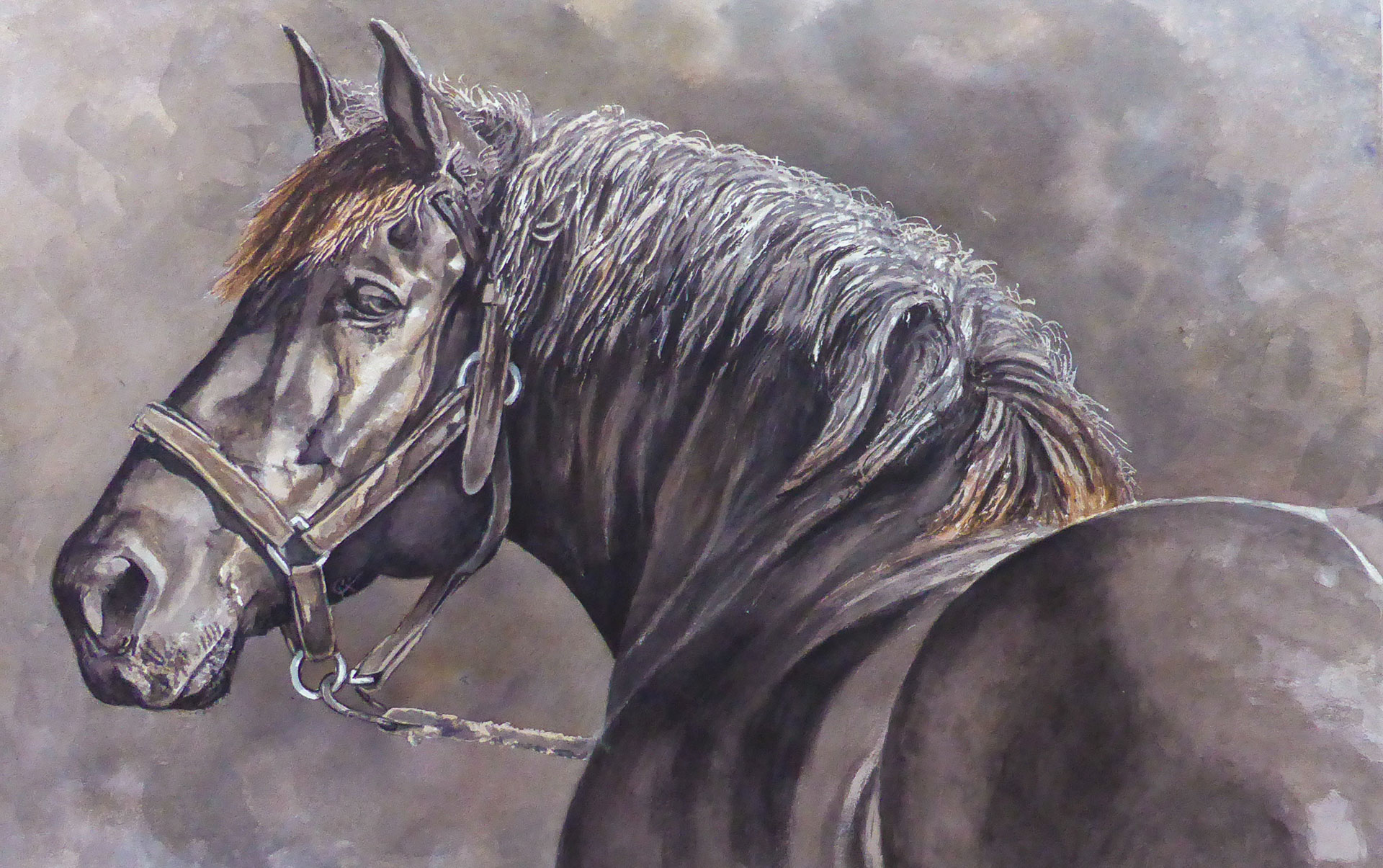 Lulu - 102x64 cm