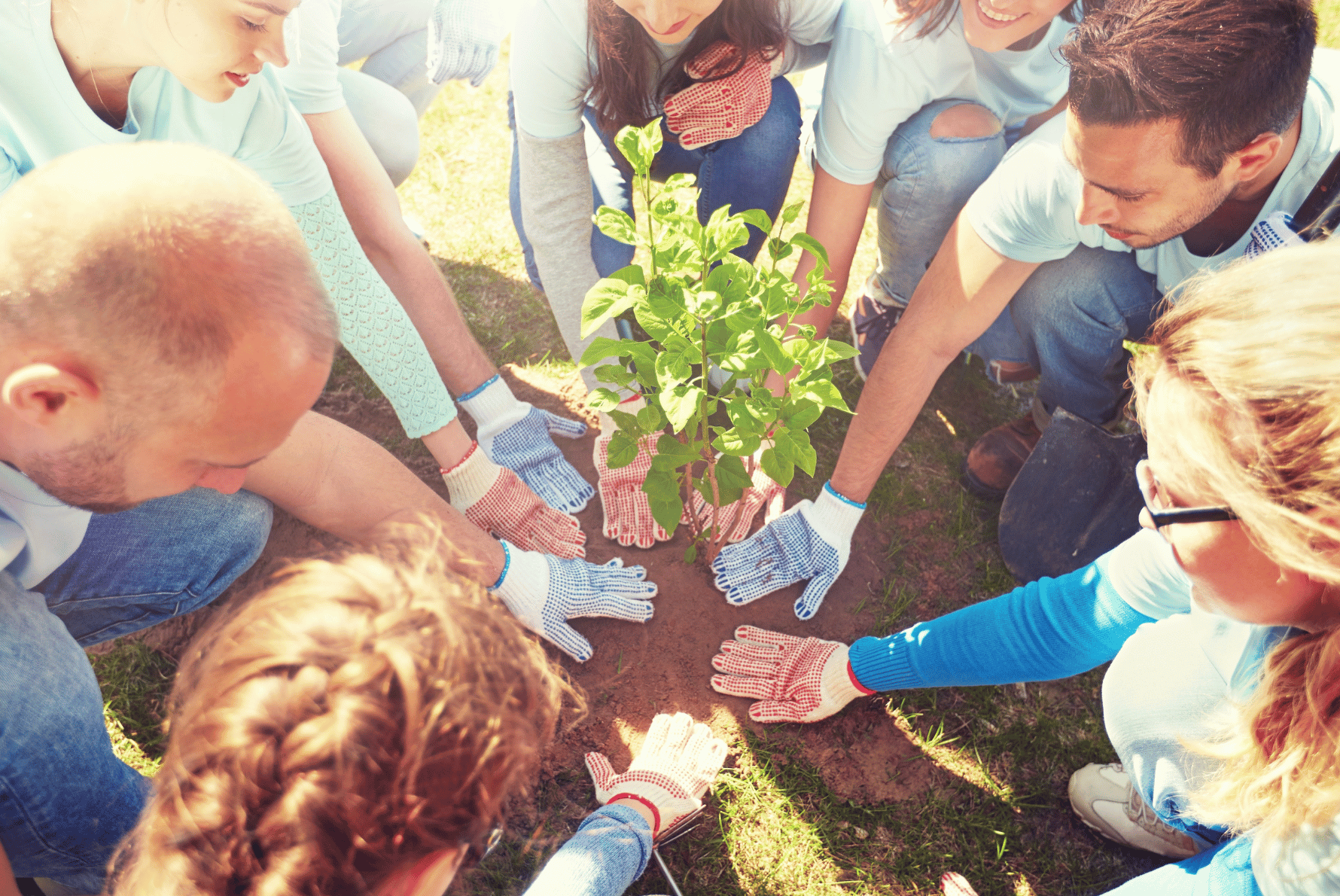 The Power of Corporate Volunteering for Social Organisations. Part 1: Benefits & Challenges