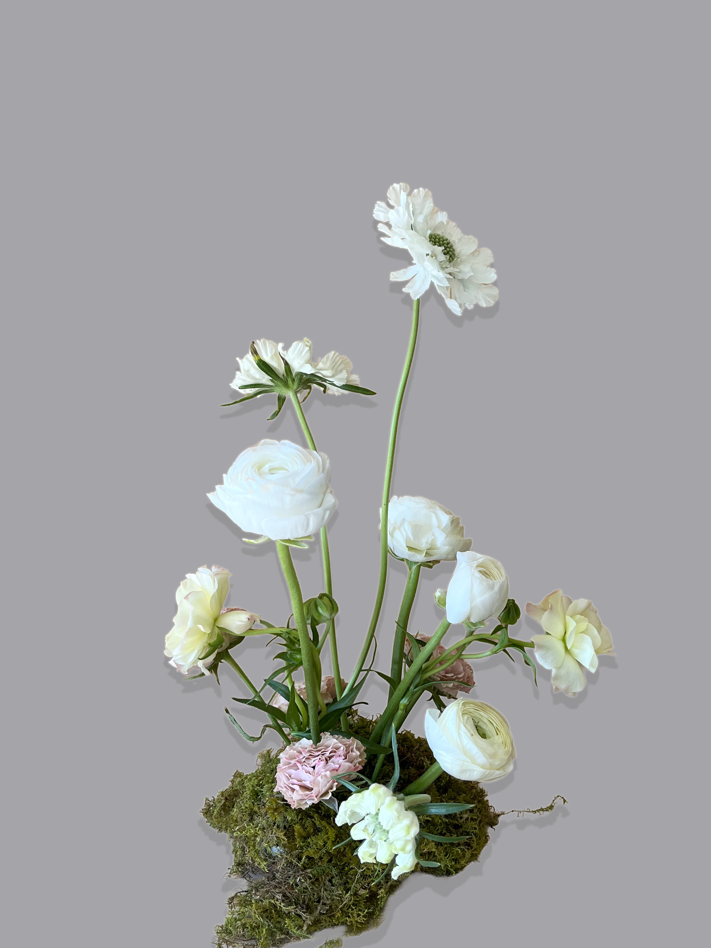 Mood Bloom - Moss Centerpiece