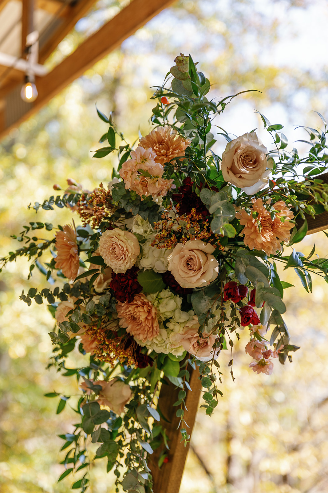 Terra - Arch Cluster