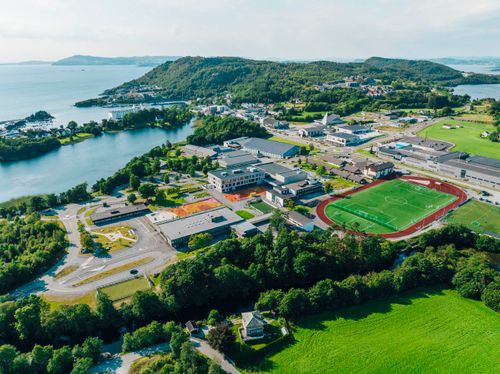 Har du oppdaget Tau?