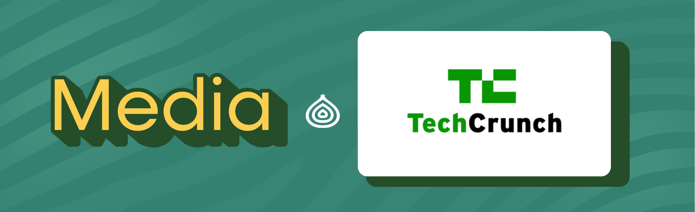 TechCrunch media article