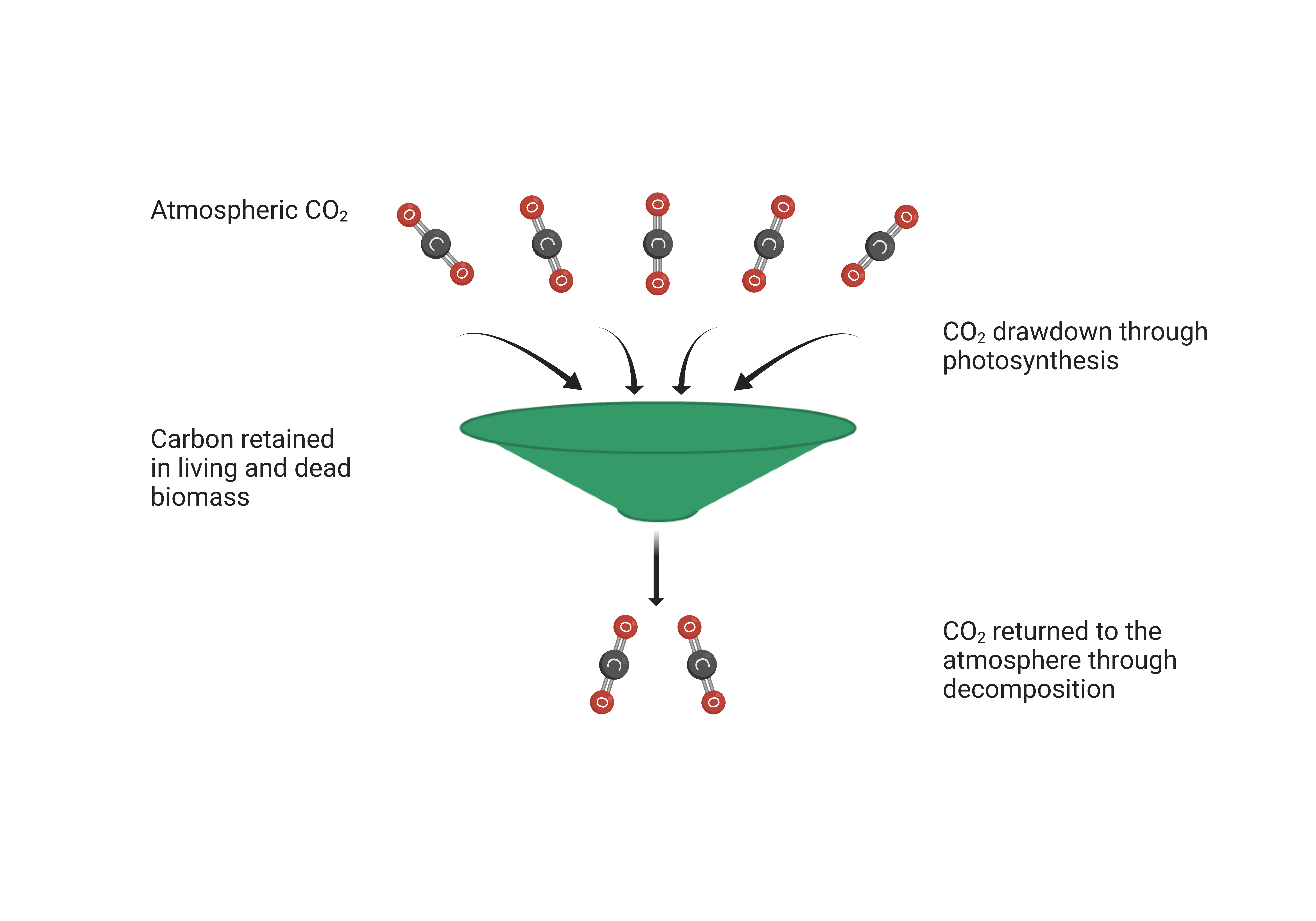 Illustration of simplified funnel metaphor.