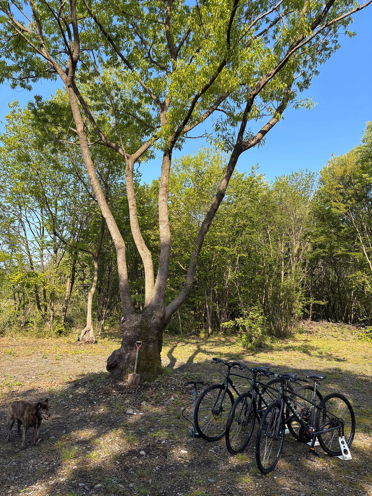  キャンピングカーは夜中に火の周りに集まり、後ろに避難所がありました