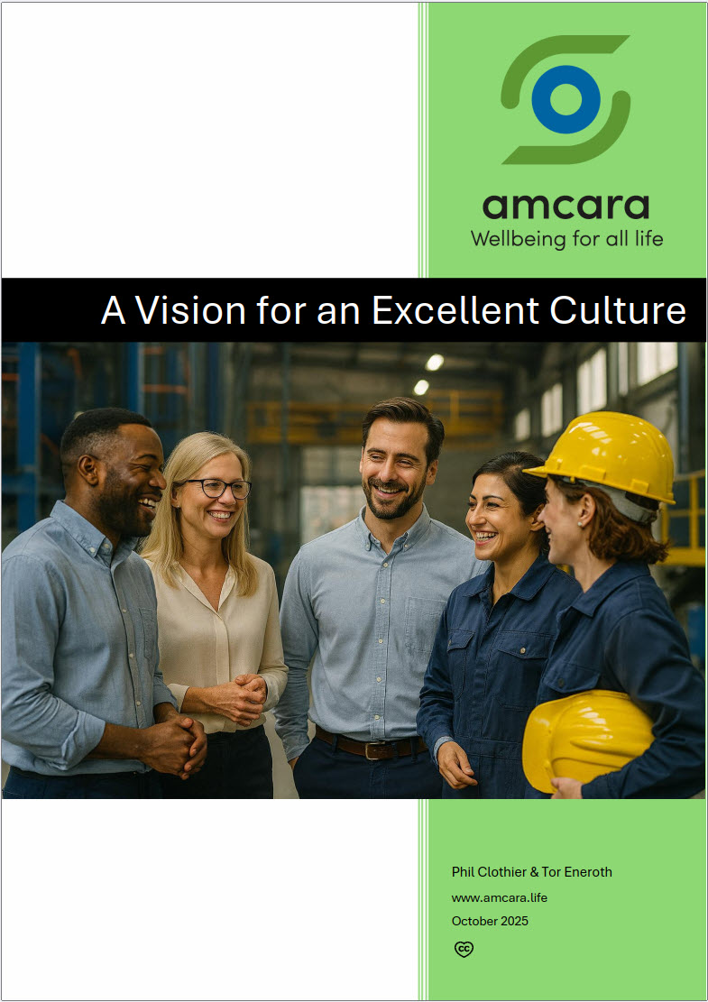 A Vision for an Excellent Culture