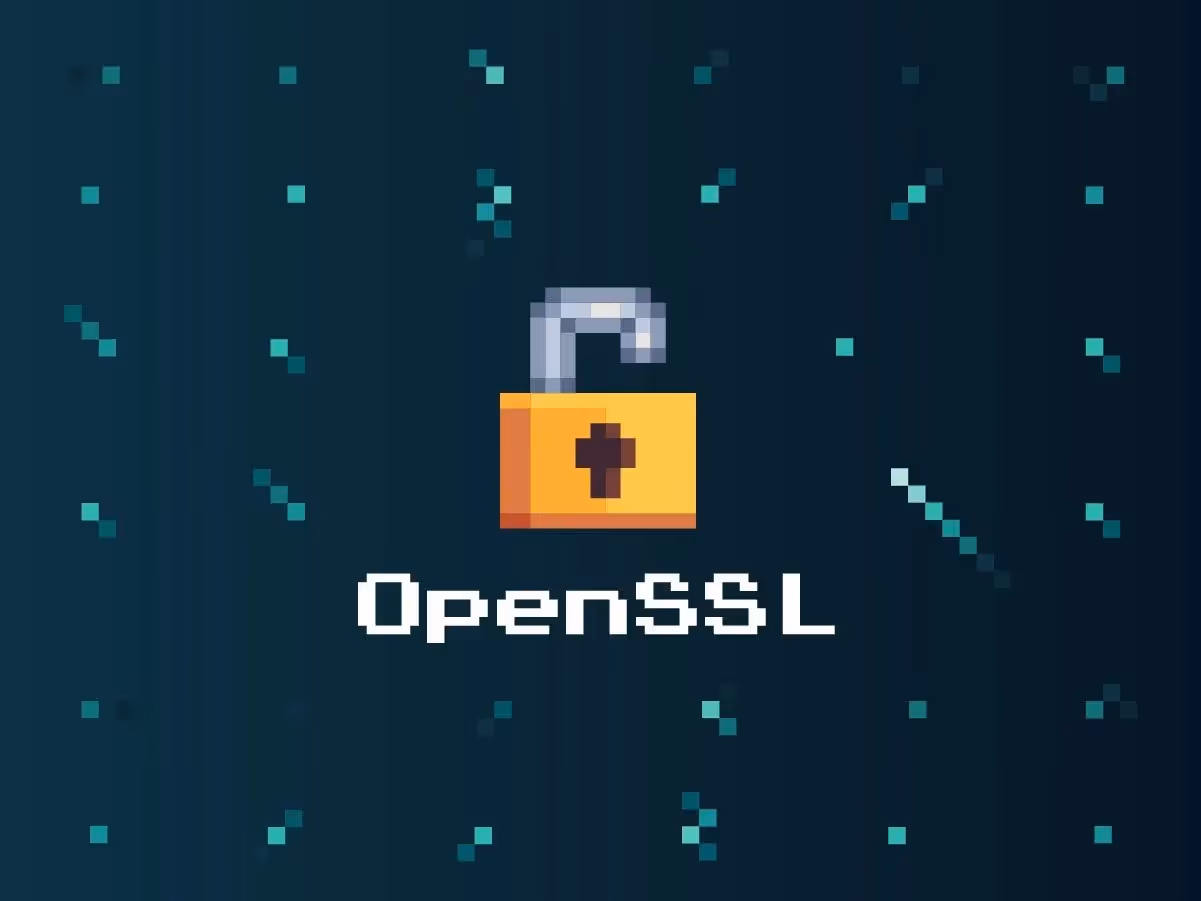 Security Update: OpenSSL High Vulnerability (CVE-2022-3602)