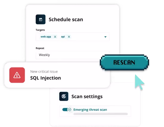 Automatically identify XSS vulnerabilities and more 