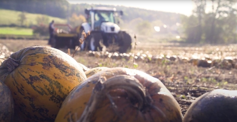 Screenshot Knappengut Video Marktplatz Mittelkärnten