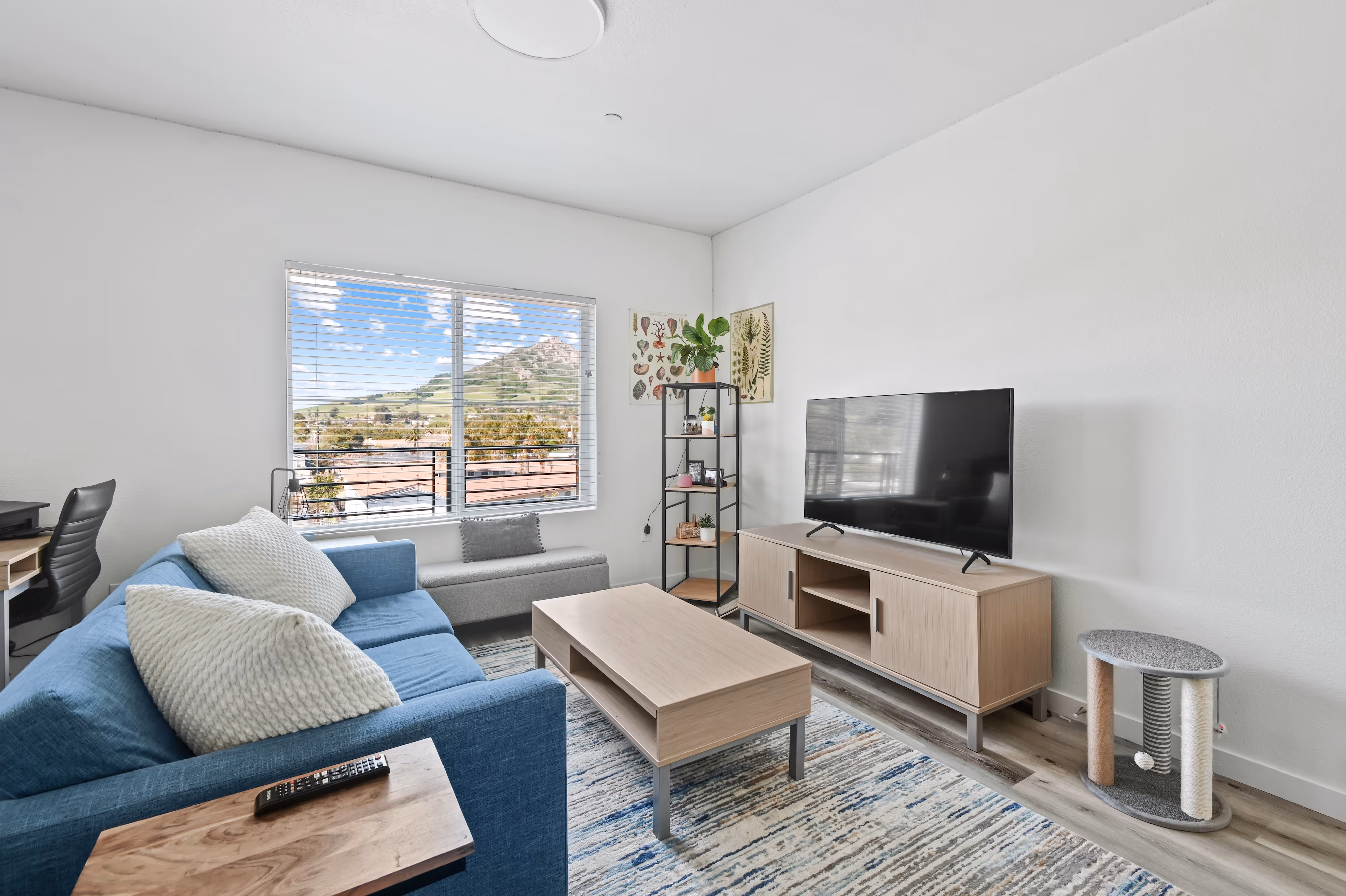 Spacious living room